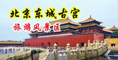 美国肏免费看中国北京-东城古宫旅游风景区